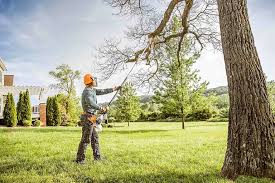 Best Tree Disease Treatment  in Newcastle, OK